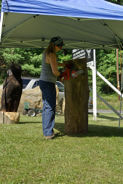 Knotty Pines Cook Forest PA